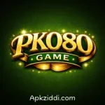 PK080 Game