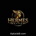 Hermes Game